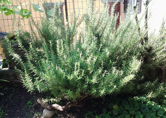 Casa Mario Lupo - And Apartamento *