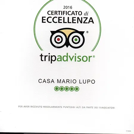 Casa Mario Lupo - And Apartment