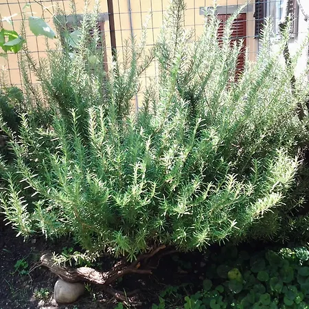 Casa Mario Lupo - And Апартаменти *