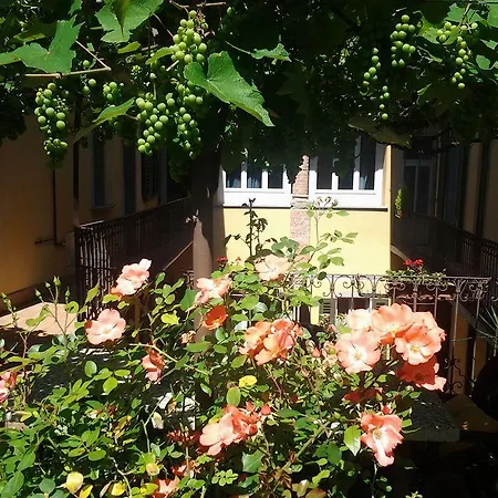 Casa Mario Lupo - And Apartment Bergamo