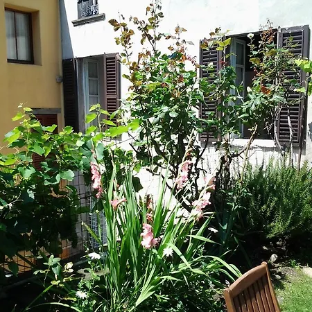 Casa Mario Lupo - And