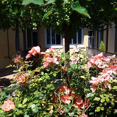 Appartement Casa Mario Lupo - And *